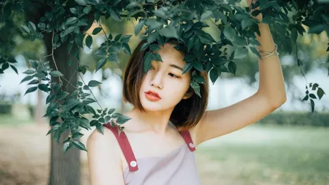 成都网友为大树求助